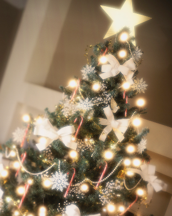 Christmas_Tree_1.png